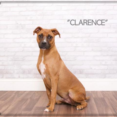 Clarence