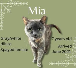 Mia