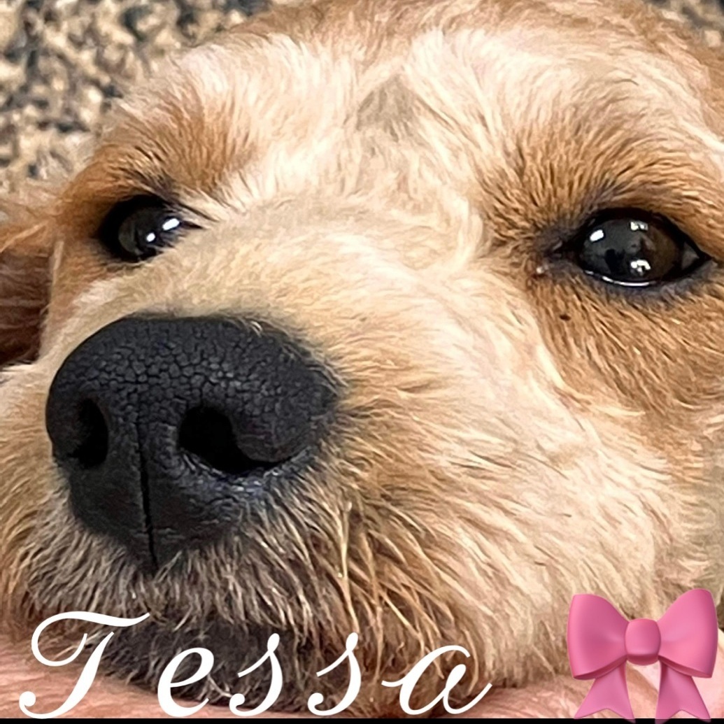 Tessa detail page