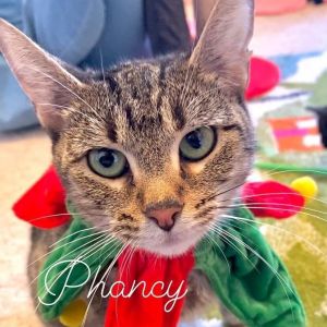 Phancy Physbreth