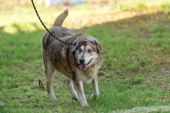 Sadie 3
