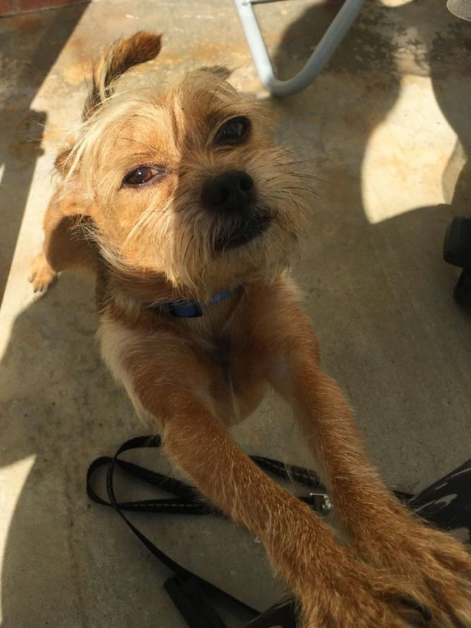 Charlie