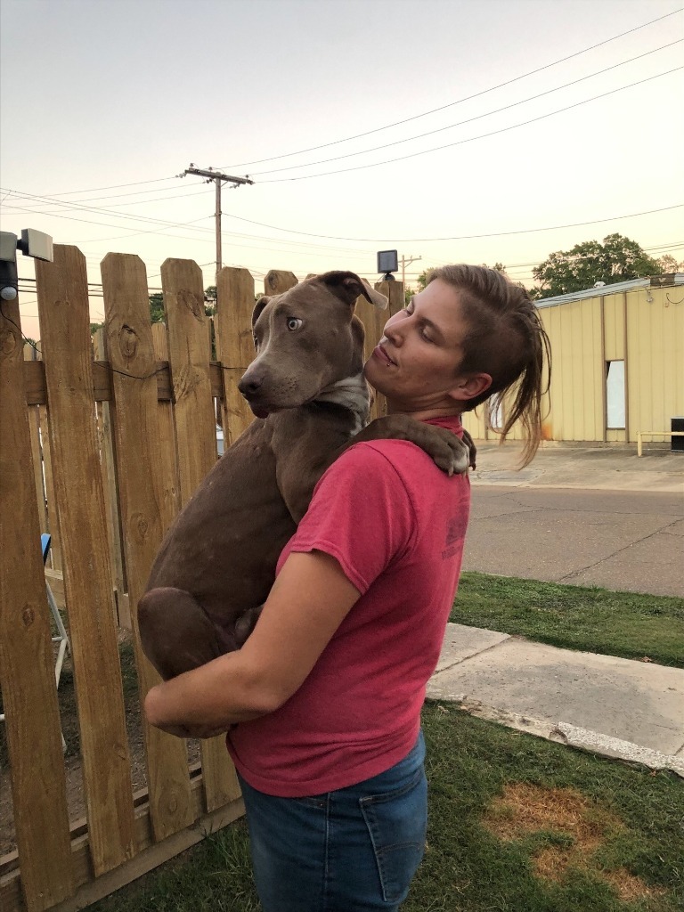 Sidney Burns, an adoptable Pit Bull Terrier in El Dorado, AR, 71730 | Photo Image 1