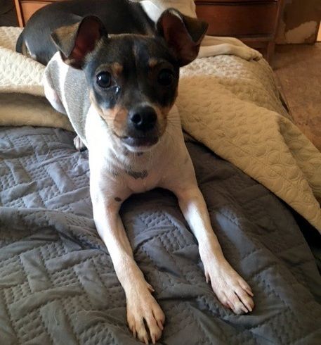 Addie 1