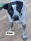 Cove