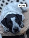 Cove