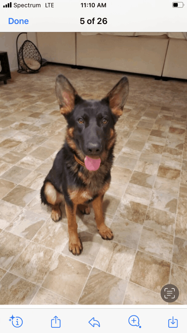 Axle