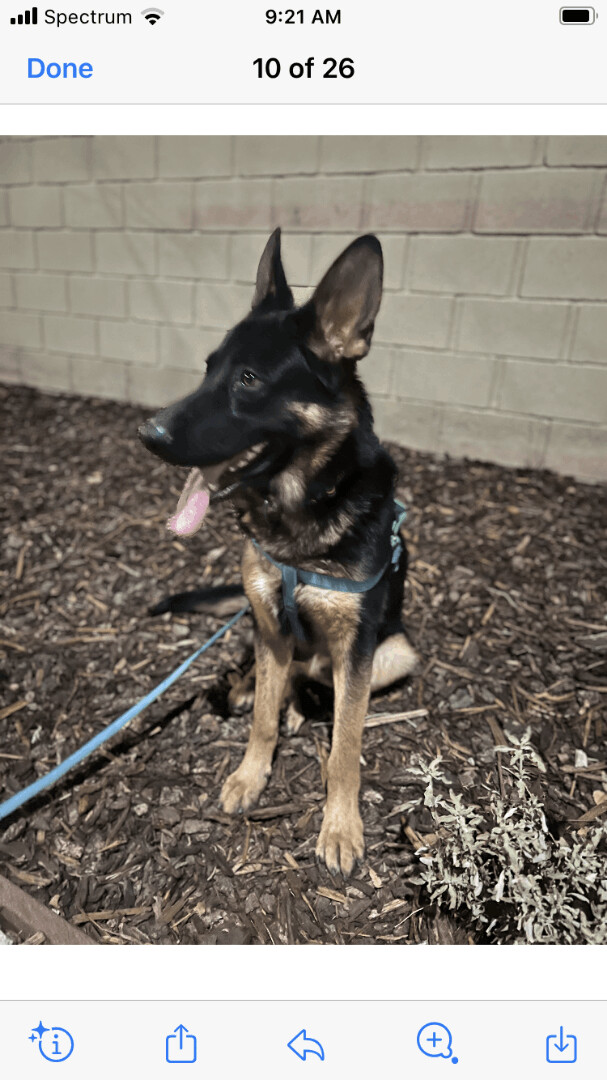 Axle