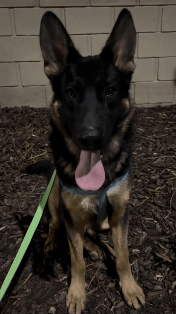 Axle
