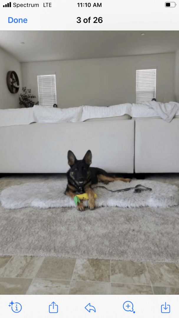 Axle
