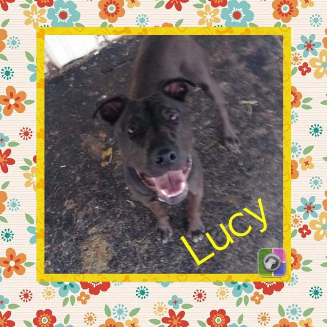 Lucy