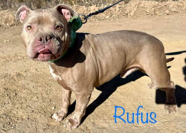 Rufus 3