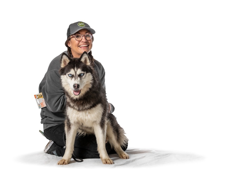 Keyana, an adoptable Husky in Salt Lake City, UT, 84117 | Photo Image 2