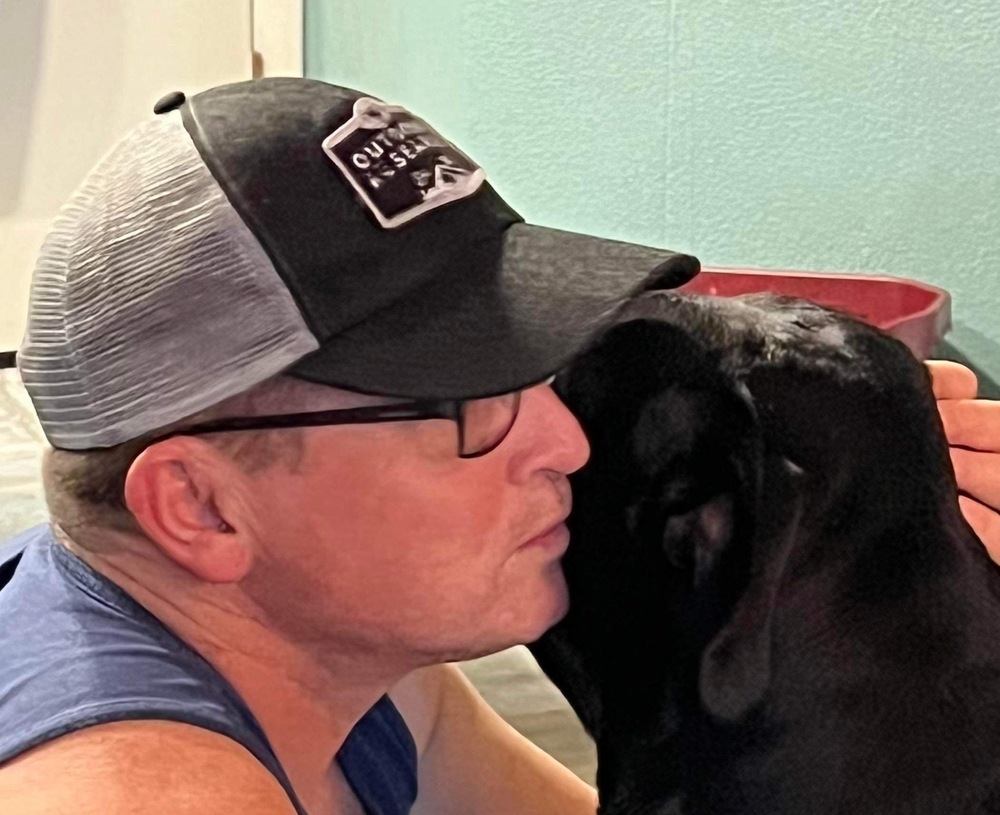 Jason, an adoptable Labrador Retriever in Milton, FL, 32583 | Photo Image 2