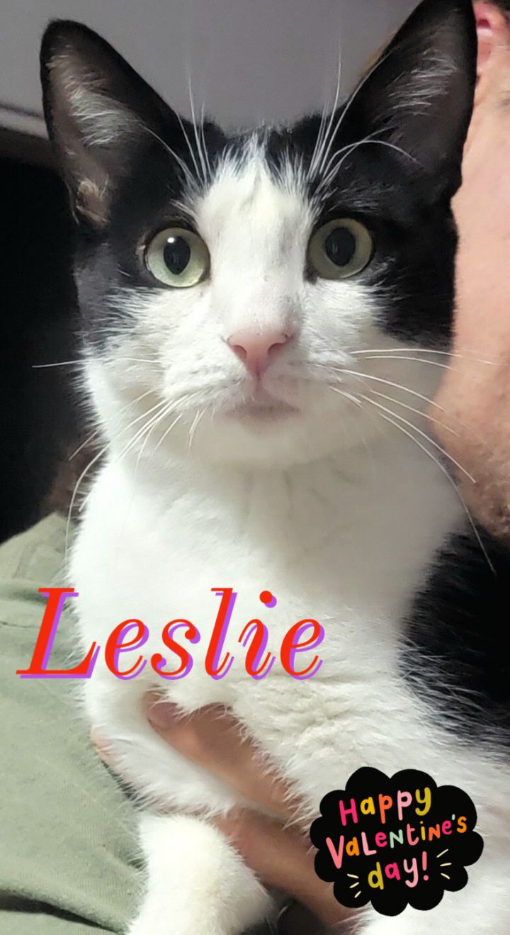 Leslie 1