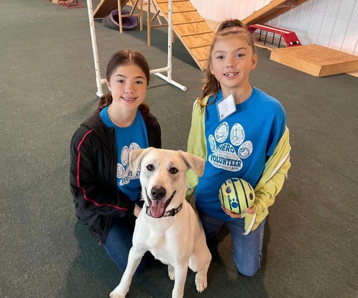 Garth, an adoptable Great Pyrenees Mix in Lake Odessa, MI_image-4