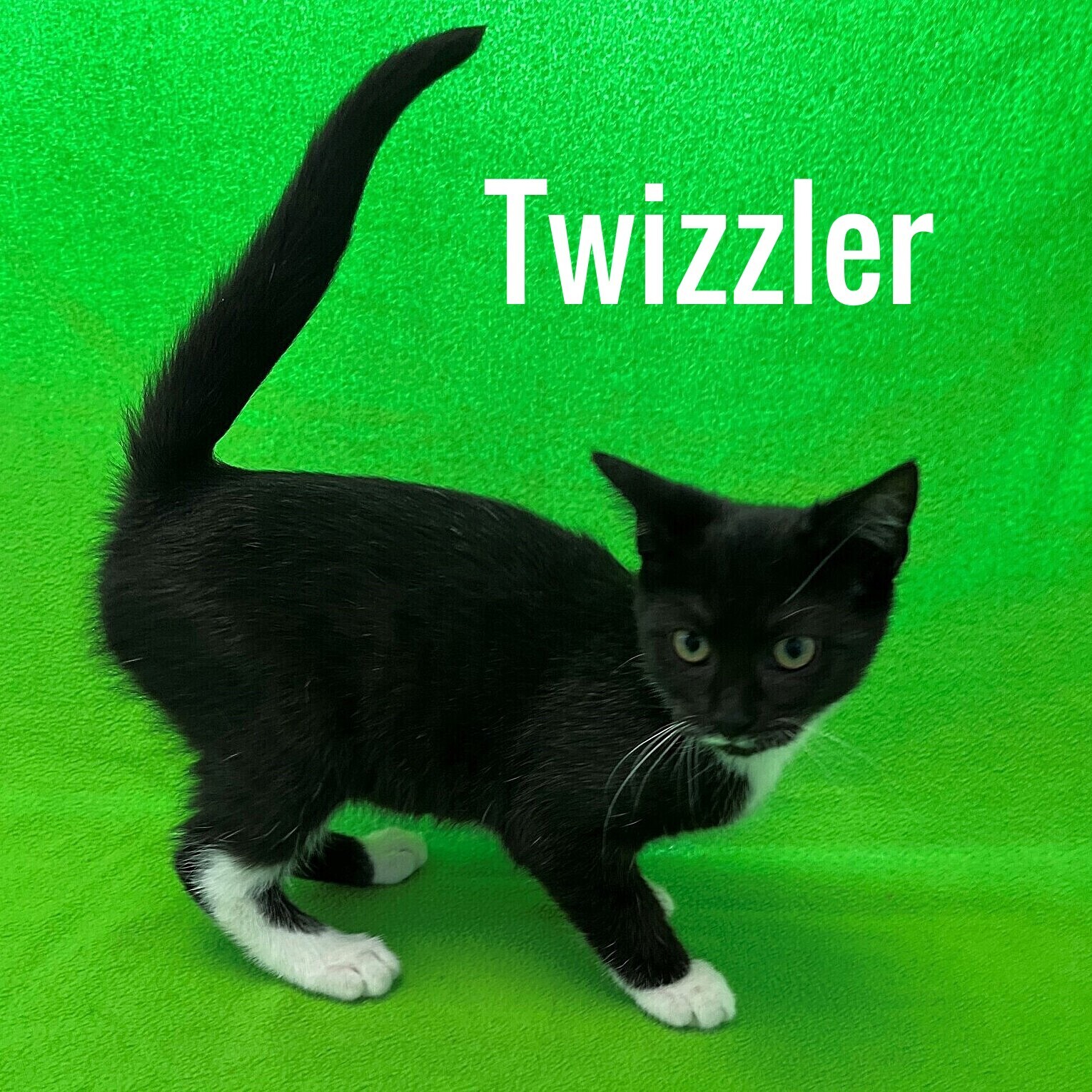 Twizzler detail page
