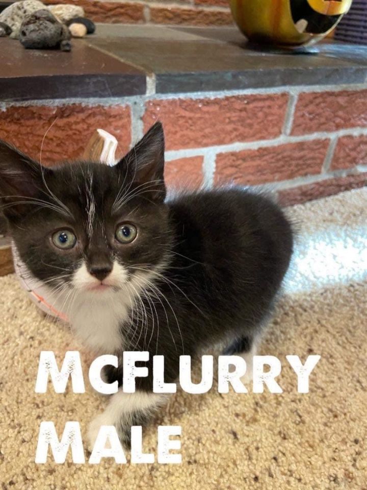 McFlurry 1