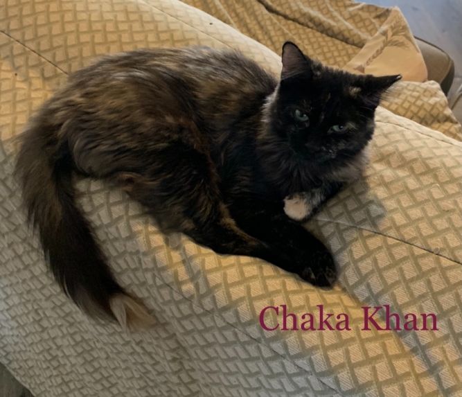 Chaka Khan 