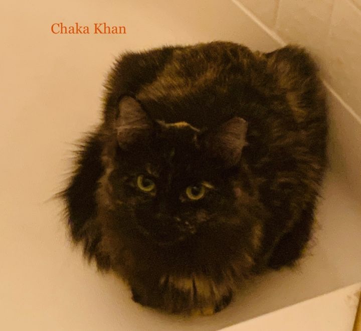 Chaka Khan  3