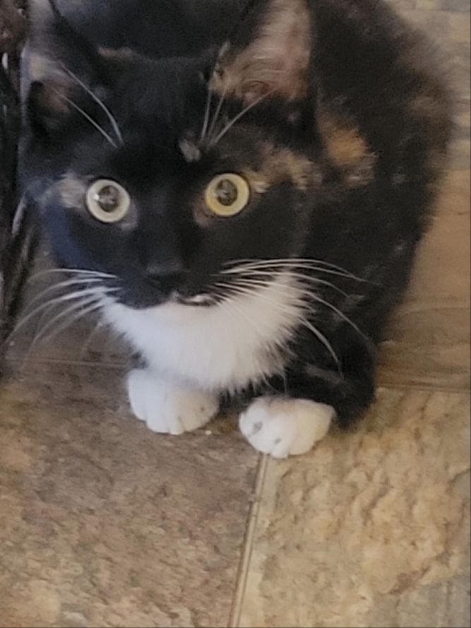 Luna