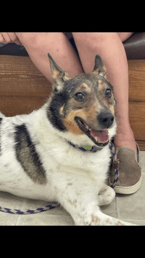 Max