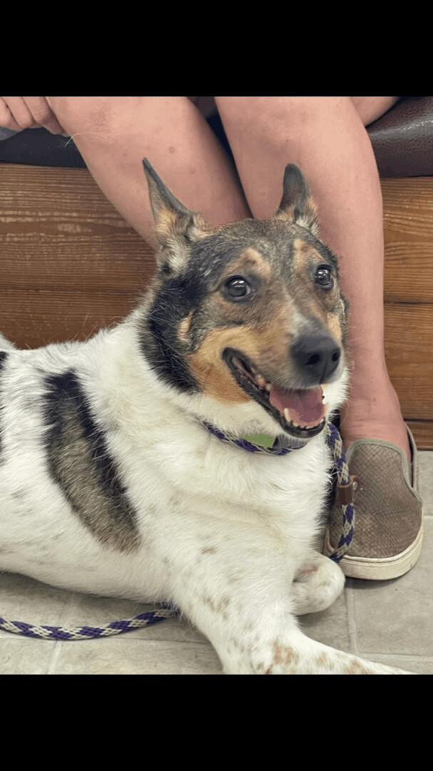 Max