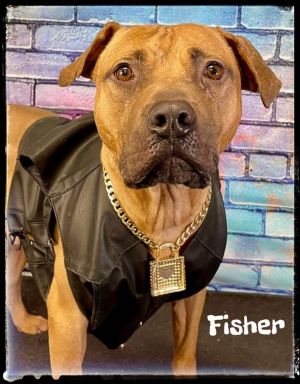 FISHER - In Foster