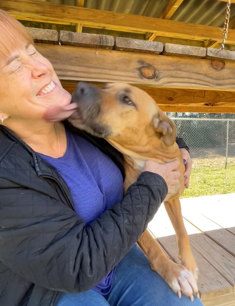 BARITONE, an adoptable Mixed Breed in Florence, SC, 29506 | Photo Image 6