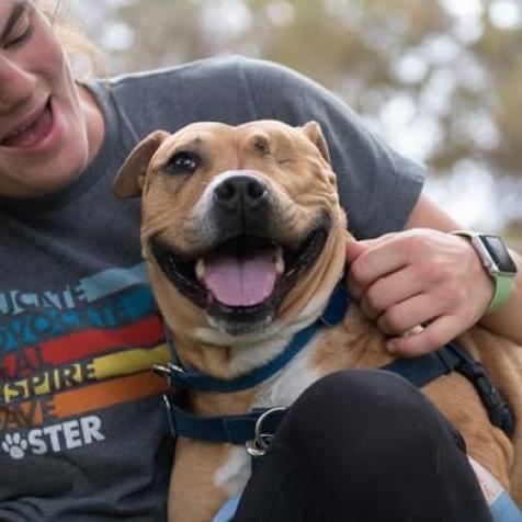 Norberta, an adoptable Pit Bull Terrier in Kanab, UT, 84741 | Photo Image 5