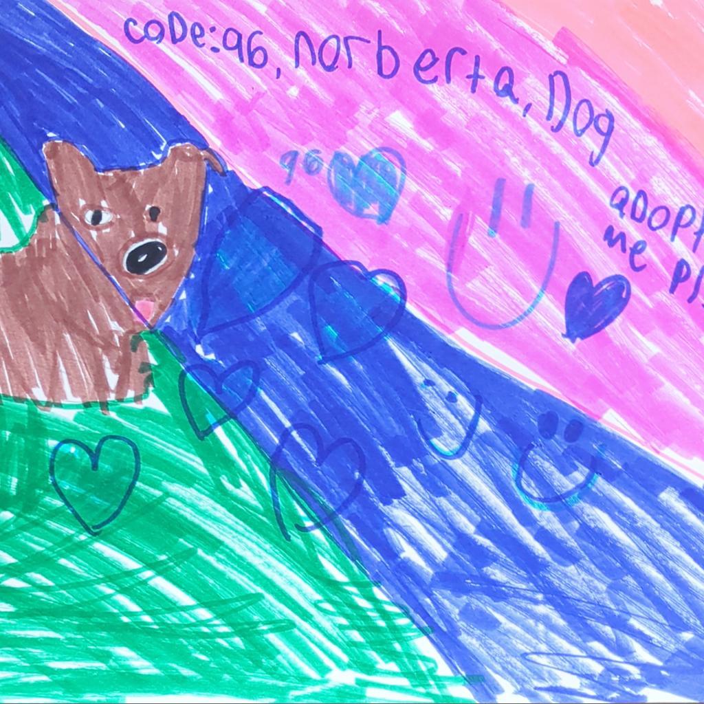 Norberta, an adoptable Pit Bull Terrier in Kanab, UT, 84741 | Photo Image 6