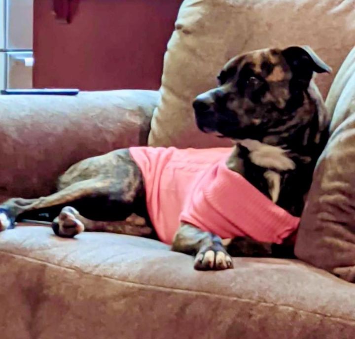 Sadie 6