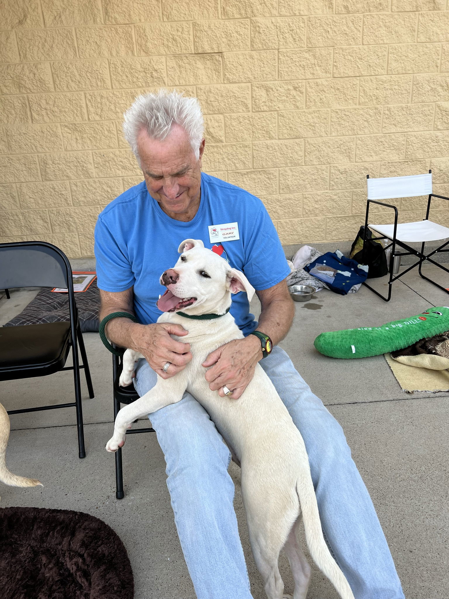 Ruger, an adoptable Pit Bull Terrier in Gun Barrel City, TX, 75147 | Photo Image 3