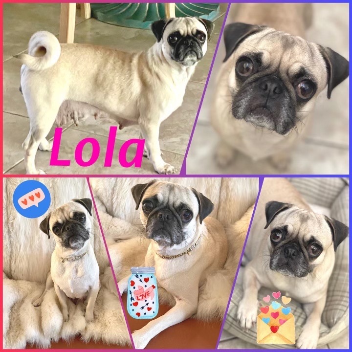 LB & Lola 2