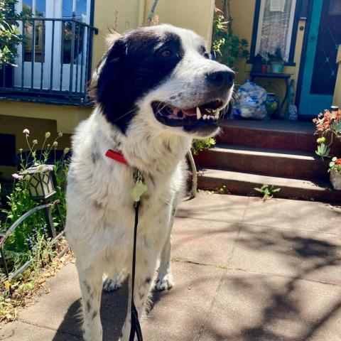TILLY 3