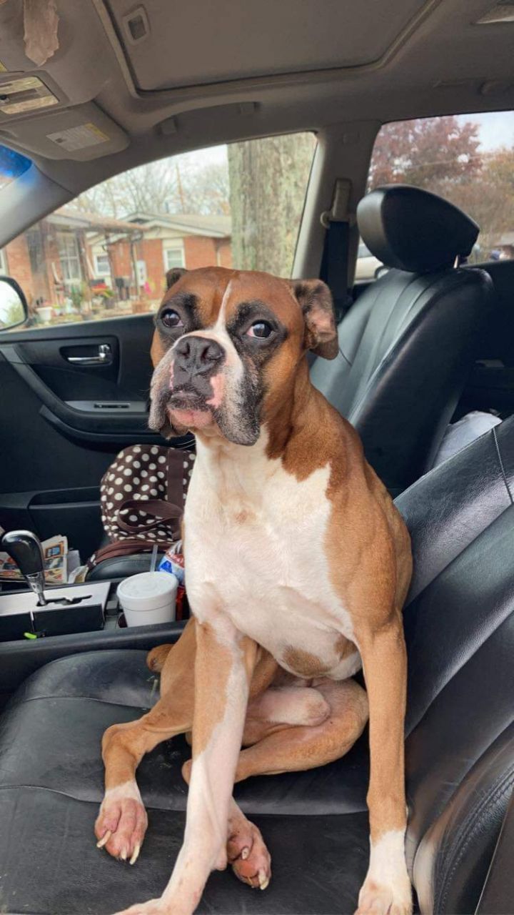Wally - ADOPTION PENDING!!! 3