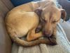 Max photo 5