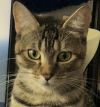 Tiggy photo 1