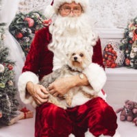 AnnabelleAndBelle, an adoptable Maltese, Yorkshire Terrier in Duart, ON, N0L 1H0 | Photo Image 2