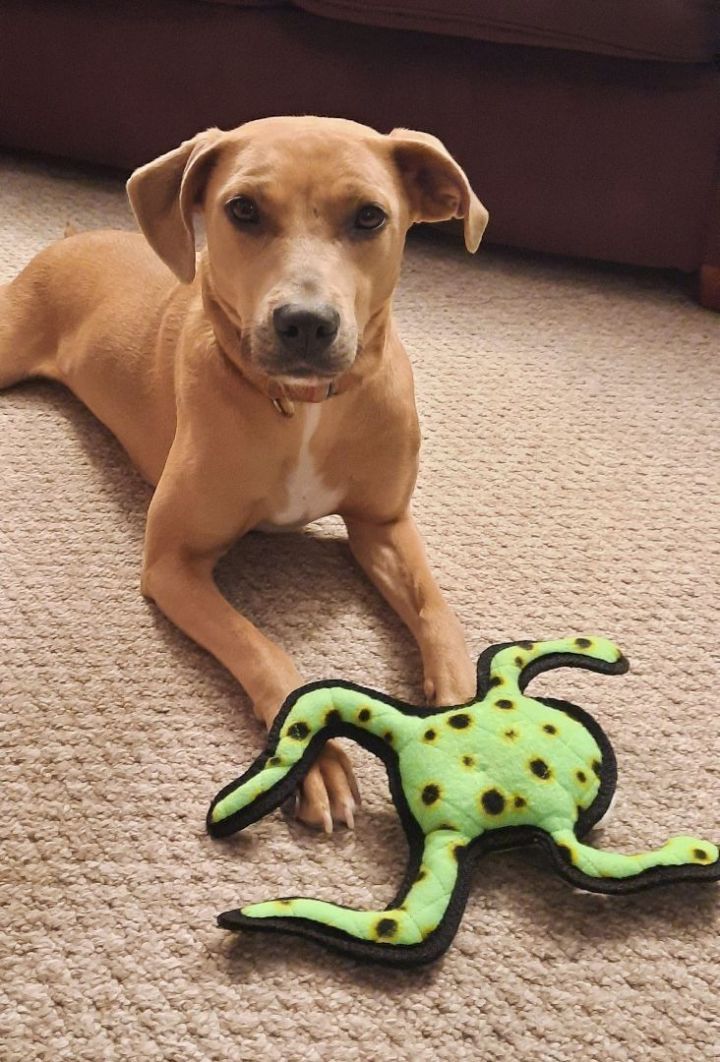 Sadie 5