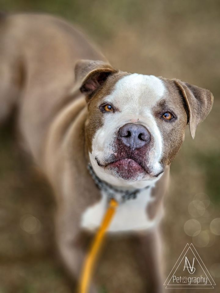 Charlie Boy 5
