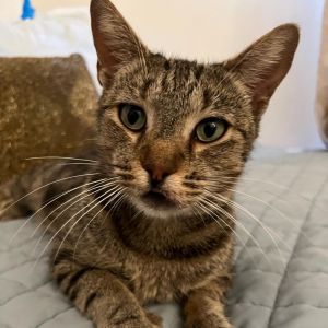 Come on down and meet Izumi She has a very laid-back personality She has a very healthy appetite a