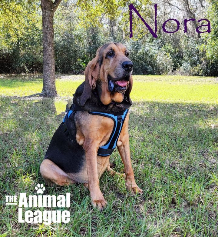 Nora 2