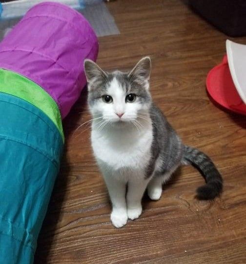 Margo