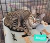 Maggy-Sponsored photo 3
