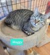 Maggy-Sponsored photo 4
