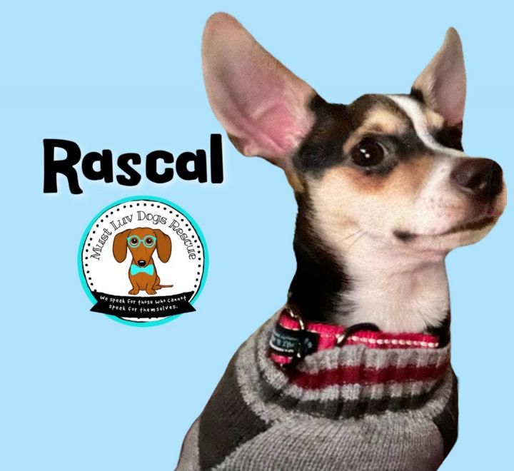 Rascal 3