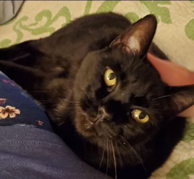 Sam