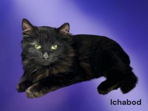 Ichabod