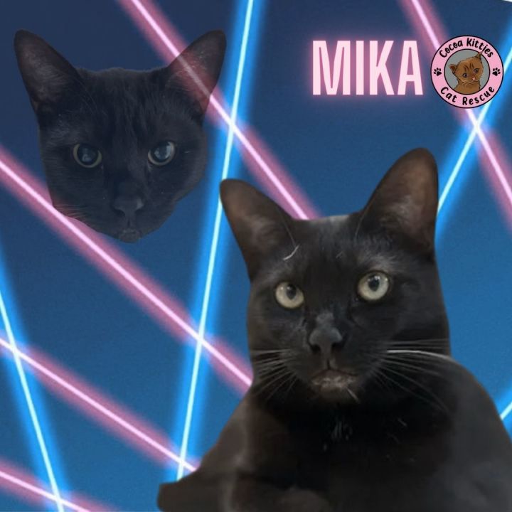 Mika 1